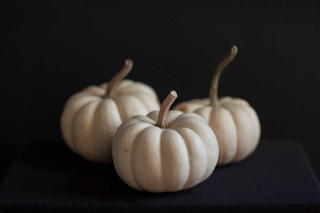 Geography OR History of White Pumpkins