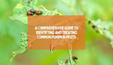 Identifying and Treating Common Pumpkin Pests
