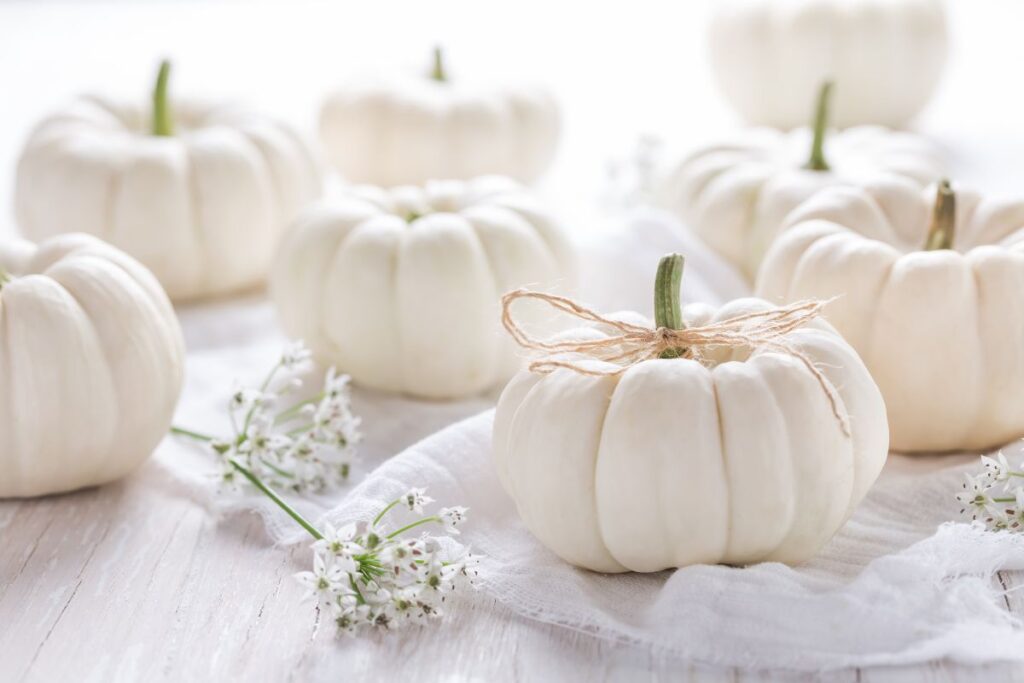 Uses of White Pumpkins