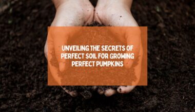 perfect Soil For Growing Pumpkins