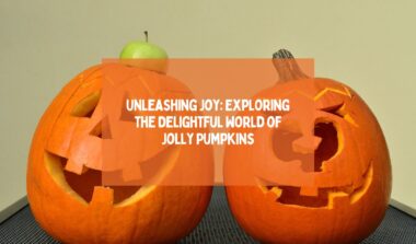 all you need to know about Jolly Pumpkins