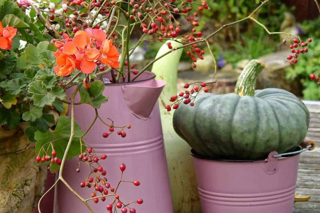 Ways to Grow Pumpkins in Pots