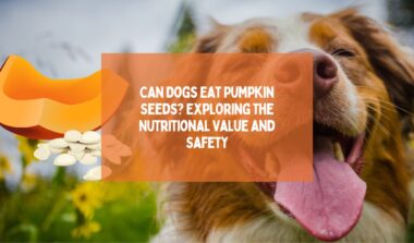 Can Dogs Eat Pumpkin Seeds Exploring the Nutritional Value and Safety
